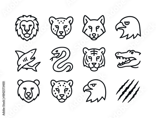 Predator Icon Set. Predator hunting. Line icon set of predator h