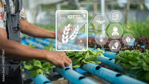 A person tending to hydroponic plants, utilizing IoT technology for smart farming and monitoring crop health through digital interfaces.