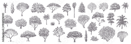 Minimal Style CAD Tree Line Drawing Set Featuring Side-View Graphic Tree Elements, Outline Symbols for Architecture and Landscape Design, Vector in White Stroke Including Tropical and Oak Varieties