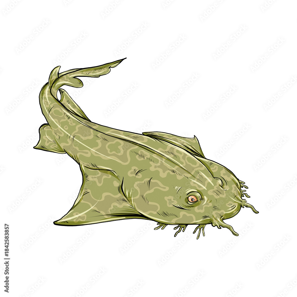 Fototapeta premium Illustration of a wobbegong fish, a type of shark found in the Raja Ampat ocean.