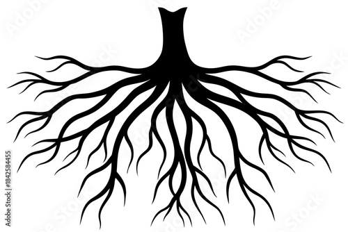 vector illustration of an abstract flower