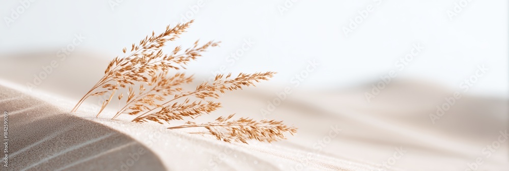 Fototapeta premium Bunch of grass is on a sandy beach