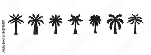 logo summer palm template set, tropical hand drawn illustrations palms, tropical concept, collection palm trees boho elements.