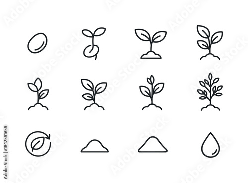 Plant Growth Stages. Plant growth stages. Line icon set of Plant