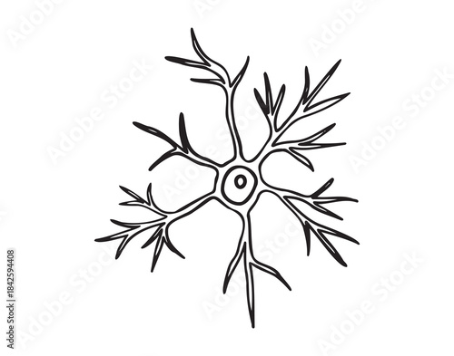 neuron cell doodle hand drawn icon. Outline pyramidal neuron cell drawing line clipart symbol