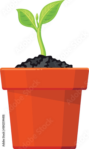 A small plant is in a red pot