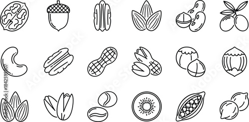 Nut, seed, fruit, icon, symbol, almond, peanut, walnut, cashew, pistachio, cocoa, kiwi, vector, illustration, CAD, drawing, flat, design, template, food