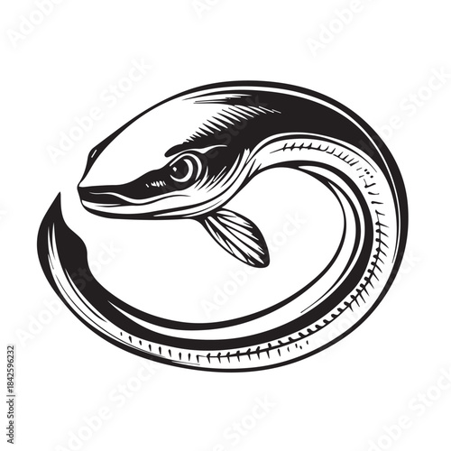 fish vector illustration