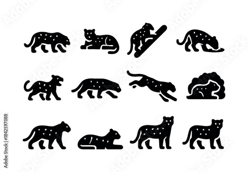 Leopard Activities Icons. Leopard activities. Solid icon set of