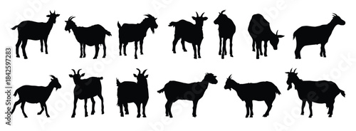 goat and goat kid silhouette set. goat and goat kid isolated farm animal silhouette icon vector collection
