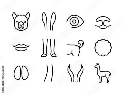 Alpaca Icon Set. Alpaca features. Line icon set of Alpaca featur