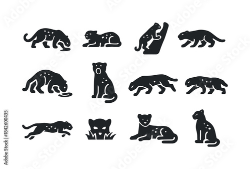Leopard Activities Icons. Leopard activities. Solid icon set of