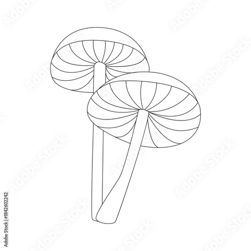 Groovy line psychedelic forest mushroom, two poison toadstools vector illustration