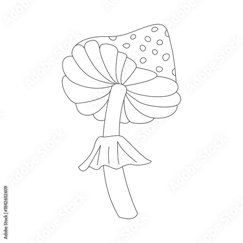 Groovy line psychedelic fly agaric, poisonous mushroom with spotted cap vector illustration