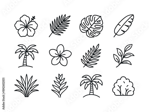 Tropical Flora Icons. Tropical Flora. Line icon set of Tropical
