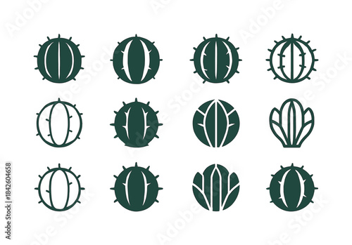 Cactus Logo Variations. Cactus. Icon set. Set Logo of Cactus: ro