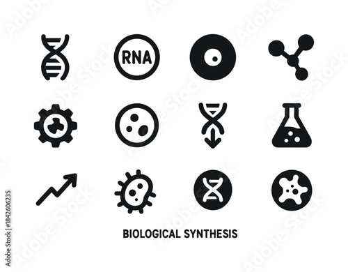Biological Synthesis Icons. Biological synthesis. Solid icon set
