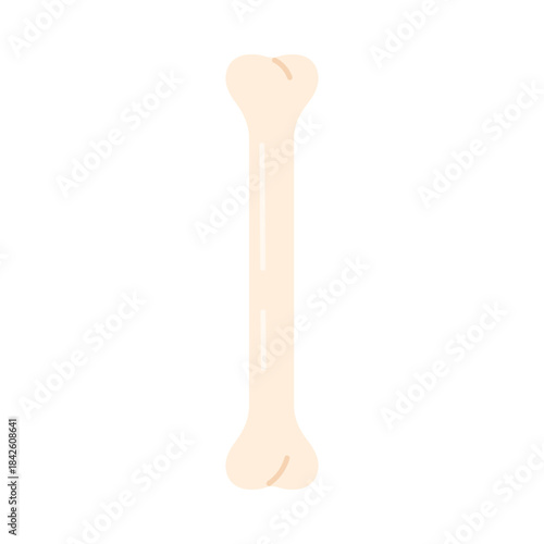 Dog bone for eating and playing, bone of chicken leg and treat vector illustration