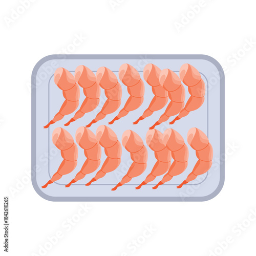 Plastic tray with peeled headless shrimp lying in rows, top view of white container vector illustration