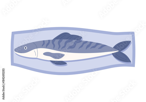 Plastic package with trout, top view of styrofoam container with fish vector illustration