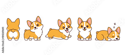 Adorable set of cartoon Corgi dog characters in various cute and playful poses, including a view of the famous butt, winking, running, sitting, and sleeping, sweet pet vector illustration