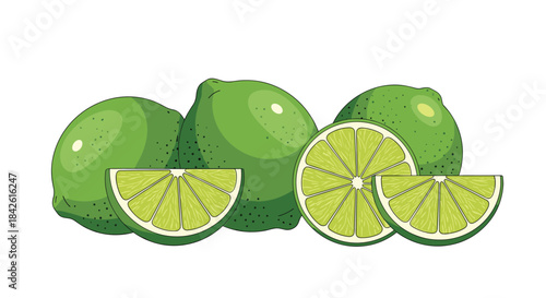 Fresh green limes with juicy sliced wedges and a whole citrus fruit illustration isolated on a clean white background for healthy eating concepts.