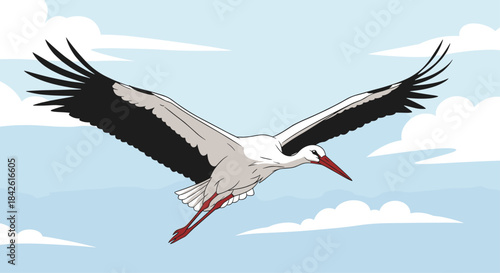 Graceful white stork with black-tipped wings flying through a blue sky with soft white clouds, symbolizing birth and new beginnings.