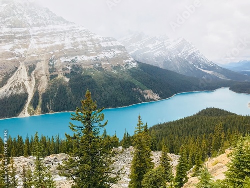 High angle view of Peyto Lake in Banff National Park Alberta Canada featuring iconic turquoise glacial water and snow dusted mountain peaks
