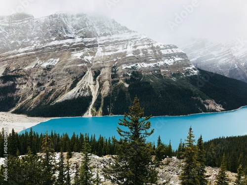 High angle view of Peyto Lake in Banff National Park Alberta Canada featuring iconic turquoise glacial water and snow dusted mountain peaks