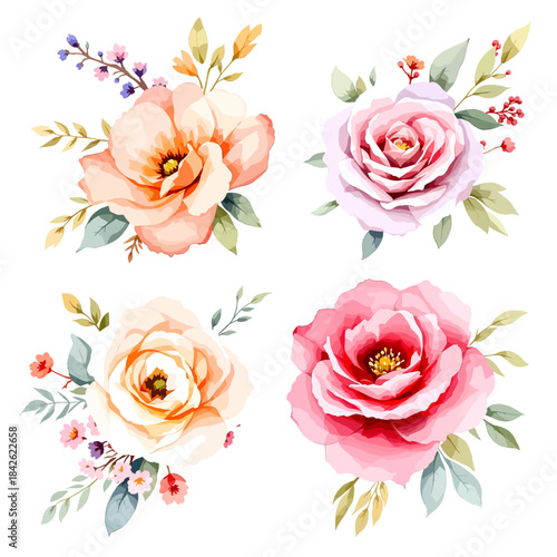 Watercolor wild flowers illustration in vintage style, leaves and grass set. Collection botanic garden elements.