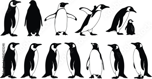 Black and White Silhouette Vector Set of Emperor Penguins, Chicks, and Adults Illustration, Antarctic Animal Collection, Wildlife, Nature, Bird, and Fauna Graphic Design Elements.