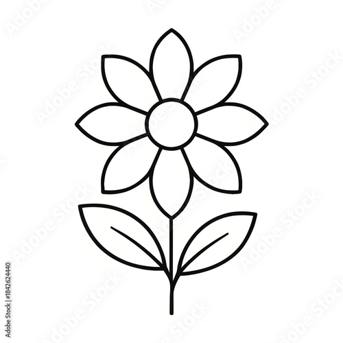 vector illustration of flower line drawing art