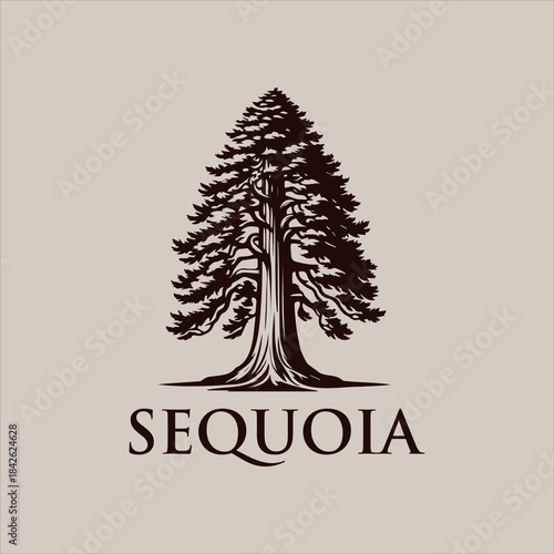 Minimal vector illustration of a sequoia tree symbolizing strength, longevity, and nature conservation.