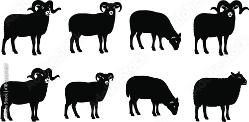 Black Silhouette Vector Set of Sheep, Rams, and Ewes Illustration, Farm Animals, Livestock, Wool, Agriculture, Animal Husbandry, and Domesticated Fauna Graphic Collection.