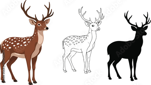A spotted deer illustration presented in three variations: full color, outline art, and solid silhouette