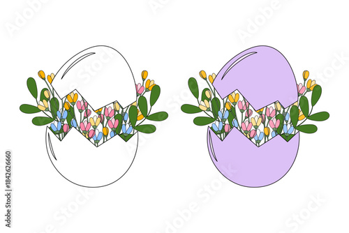 Cracked Eggshell with spring twigs and blossom flowers inside. Spring or Easter Design Element Set. Isolated Vector illustration Springtime holiday greetings Thematic Cards Promo materials, media post
