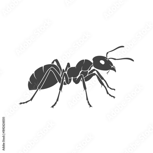 Ant Silhouette Icon – Insect Bug Minimal Black Vector Illustration