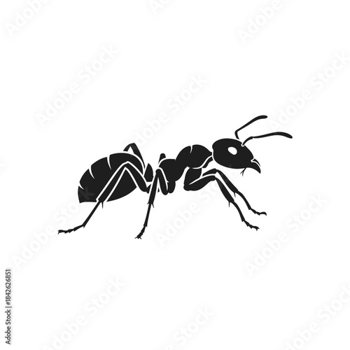Ant Silhouette Icon – Insect Bug Minimal Black Vector Illustration