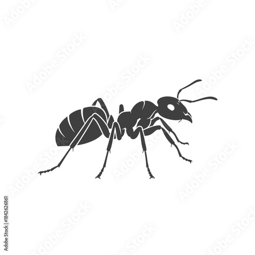 Ant Silhouette Icon – Insect Bug Minimal Black Vector Illustration