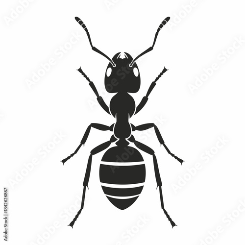 Ant Silhouette Icon – Insect Bug Minimal Black Vector Illustration