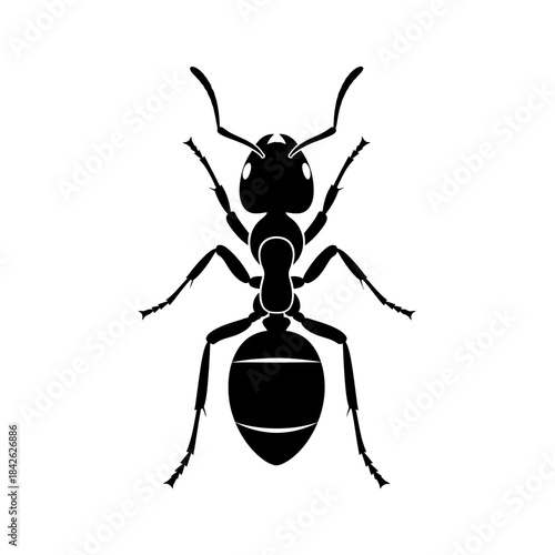 Ant Silhouette Icon – Insect Bug Minimal Black Vector Illustration
