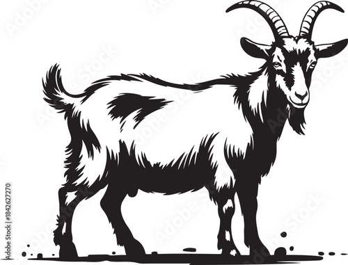 Proud confident goat standing majestically with curly horns and furry beard