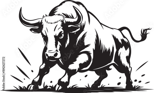 Furious raging bull in powerful attacking pose with muscular body and sharp horns