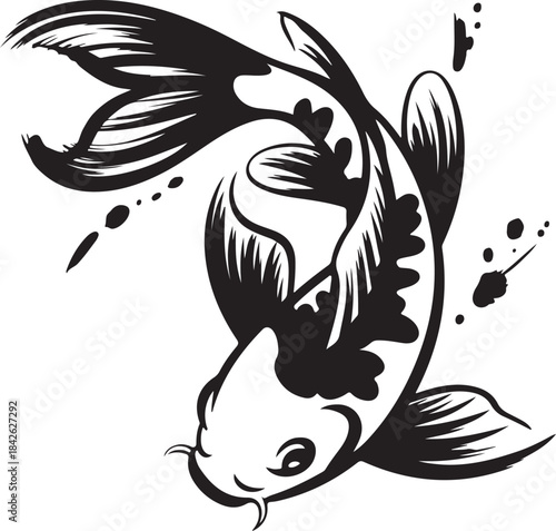Graceful hand drawn koi fish or carp in an elegant flowing style with water splash