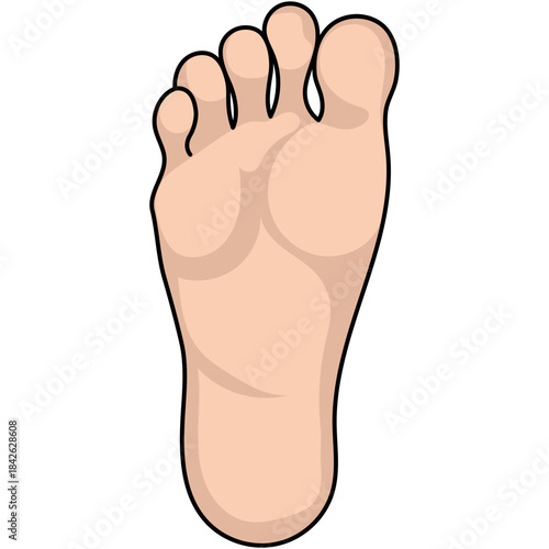 Illustration of Human Foot Anatomy on Black
