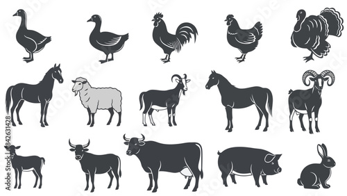 Collection of Farm Animals and Birds Silhouettes Set, Isolated on White Background