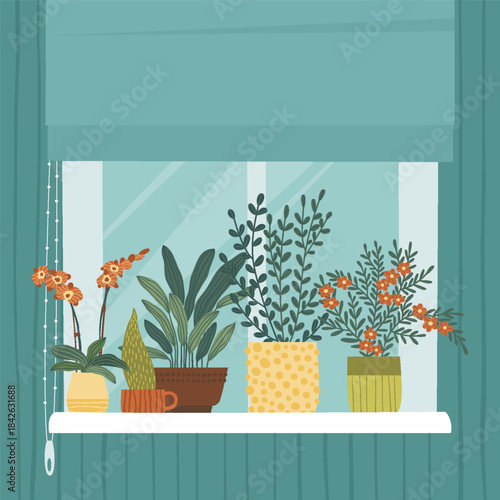 Window with houseplants in various pots