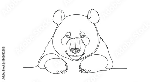 A minimalist and elegant continuous single line drawing of a bear's head and paws looking forward on a clean white background.