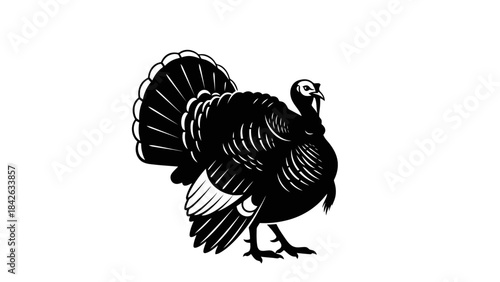 Black Silhouette of a Turkey with Fan Tail Feathers Displayed