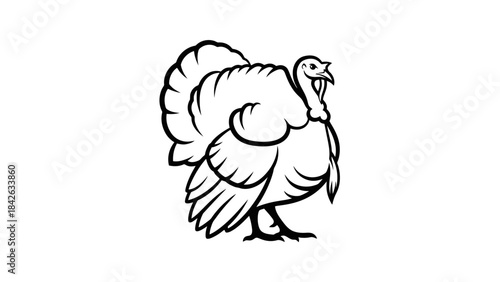 Black and White Outline Illustration of a Proud Turkey with Fanned Tail Feathers
